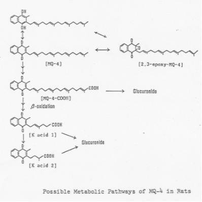 File:VVK0029FT0003.gif
