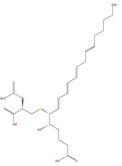 LBF20406SF06.png