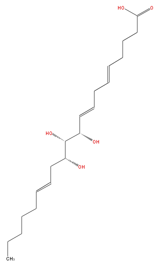 LBF20306HX02.png