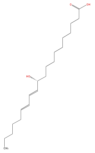 LBF20206HO01.png
