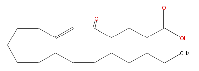 LBF20406OX01.png