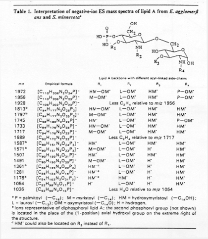 File:CLS0411FT0012.gif