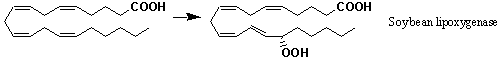 File:XPR6003FT0001.gif