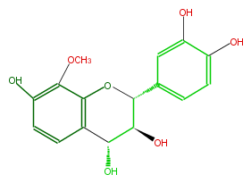 FL6D3CNS0004.png