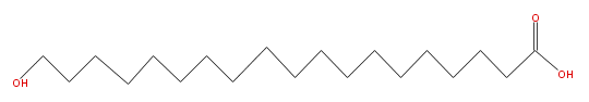 LBF19000HO02.png