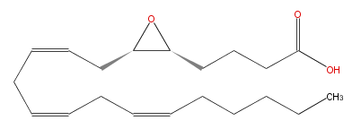 LBF20306EO01.png