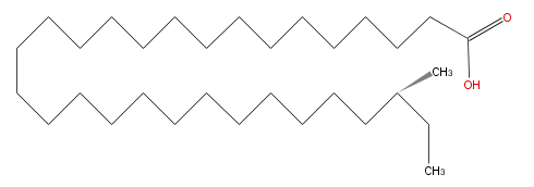 LBF30000BC01.png