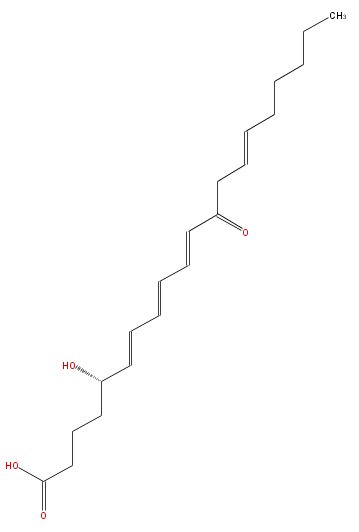 LBF20406LT03.png