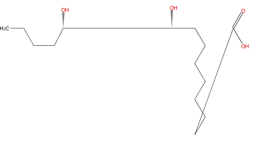 LBF18207HO05.png