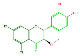 FL4DPTNS0003.png