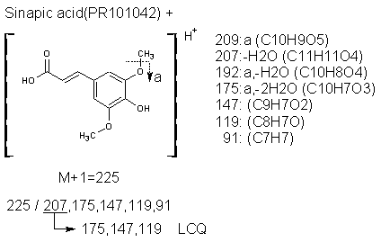 Fragmentation:PR101042p.png