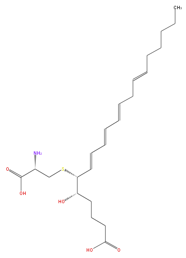 LBF20406SF05.png