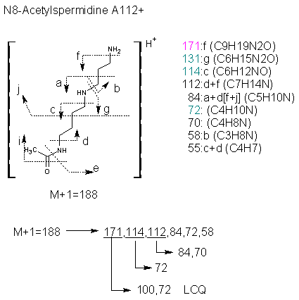 Fragmentation:KOX00655p.png