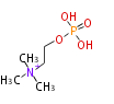 PR100407.png