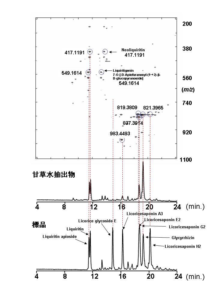 Glycyrrhizae Radix LC2.jpg