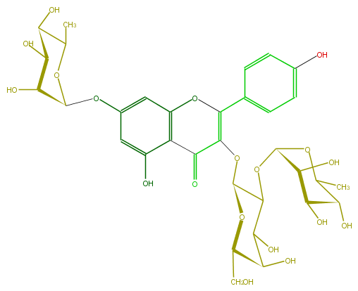 FL5FAAGA0022.png