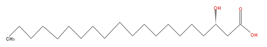 LBF20000HO02.png