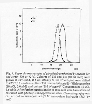 File:CLS1823FT0083.gif