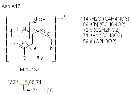 Fragmentation:KOX00013n.png