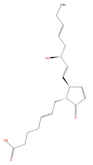 LBF20403PG03.png