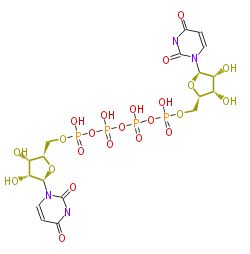 BMMCPYUR0012.png