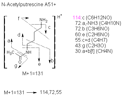 Fragmentation:KOX00641p.png