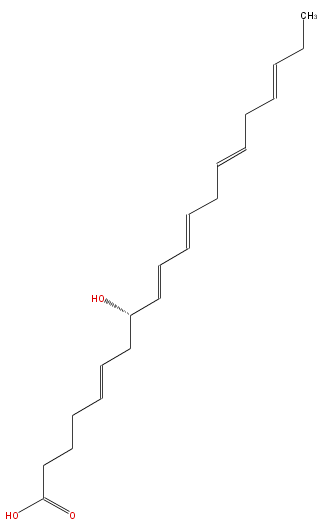 LBF20503HO02.png