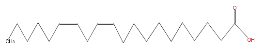LBF20206SC01.png
