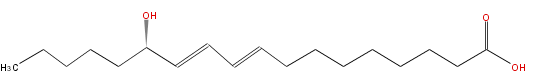 LBF18207HO02.png