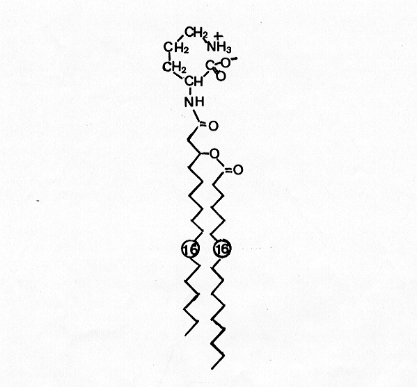 File:ALA0001FT0004.gif