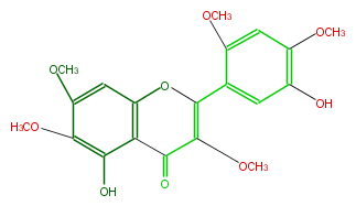 FL5FELNS0014.png