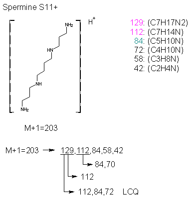 Fragmentation:KOX00862p.png