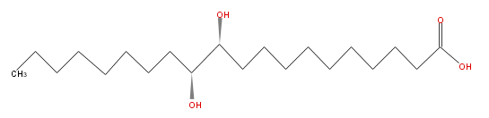 LBF20000HO04.png