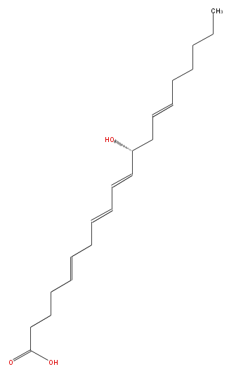 LBF20407HO03.png