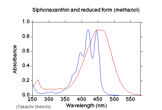 File:VCA1076SP1146.gif