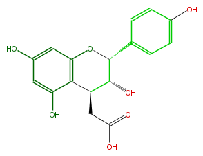 FL63AANM0001.png