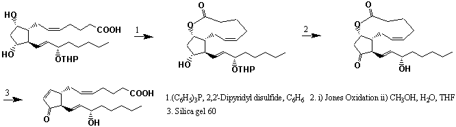 File:XPR1901FT0001.gif