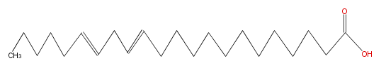LBF22206SC01.png