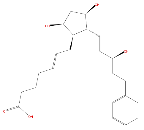LBF237nnPG02.png