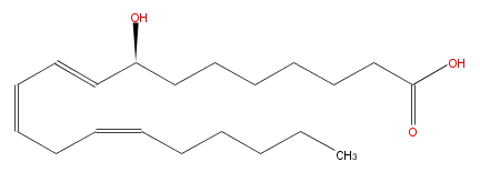 LBF20306HO05.png