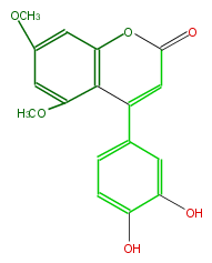 FLNADCNS0001.png