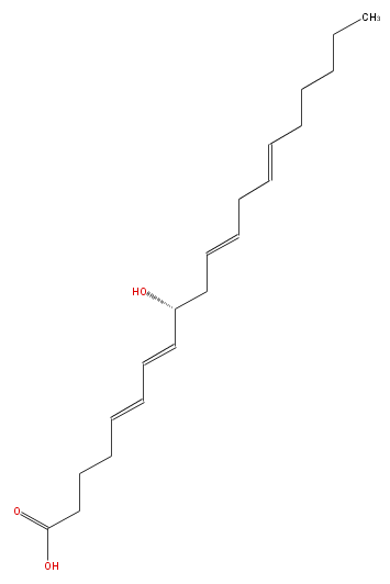 LBF20406HO14.png