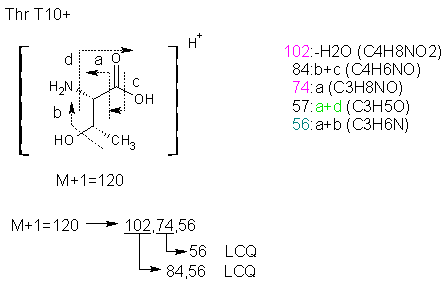 Fragmentation:KOX00586p.png