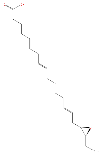 LBF20506EO01.png