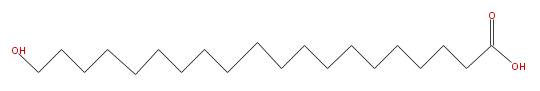 LBF20000HO03.png