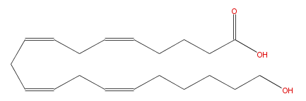 LBF20406HO19.png