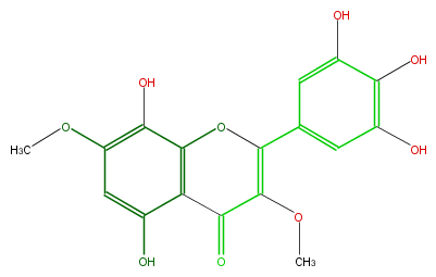 FL5FFGNS0008.png
