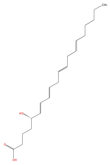LBF20406HO11.png