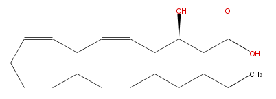 LBF20406HO09.png