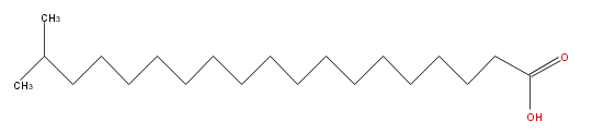 LBF19000BC01.png